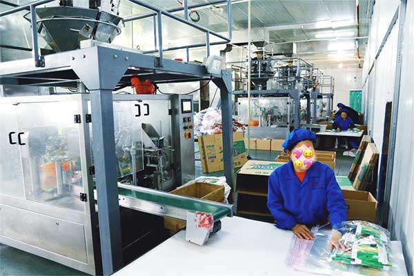 給袋式顆粒全自動午夜精品福利视频廠家
